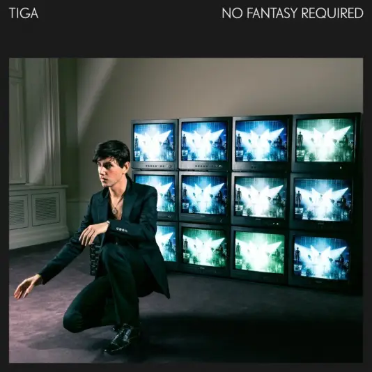 Tiga - No Fantasy Required 2LP