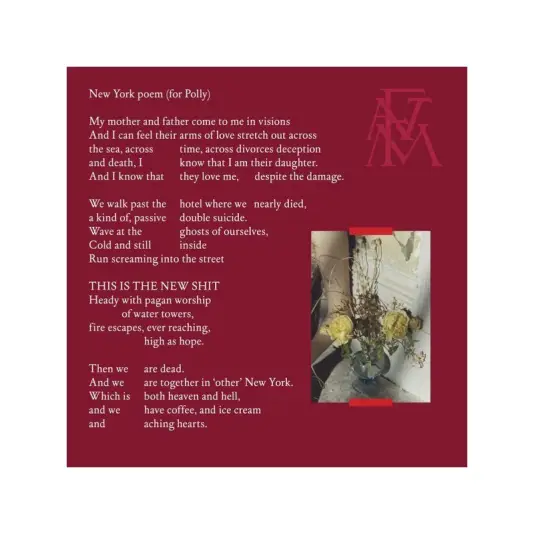 Florence And The Machine - Sky Full Of Song 7"