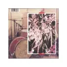 Florence And The Machine - Sky Full Of Song 7"