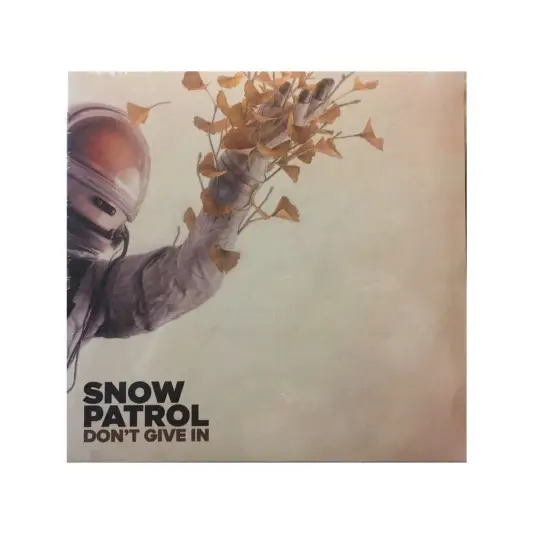 Snow Patrol - Don't Give In 10