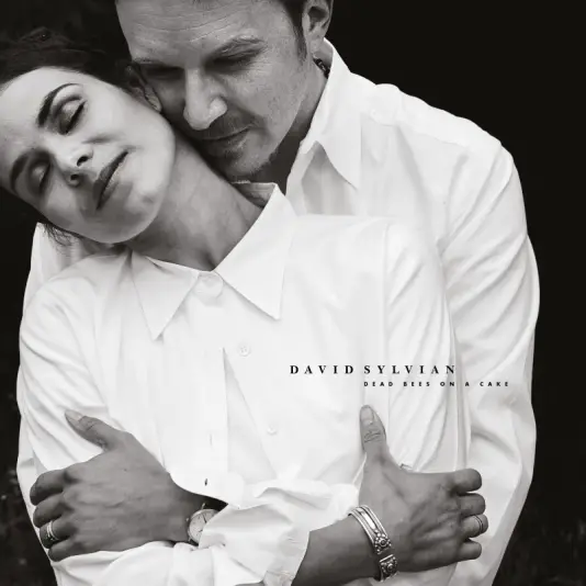 Sylvian David - Dead Bees On A Cake LP (white vinyl)
