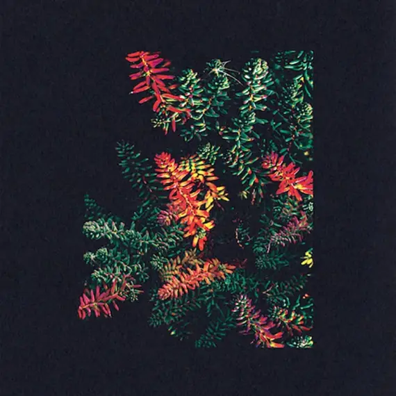 Dark Sky - Othona LP