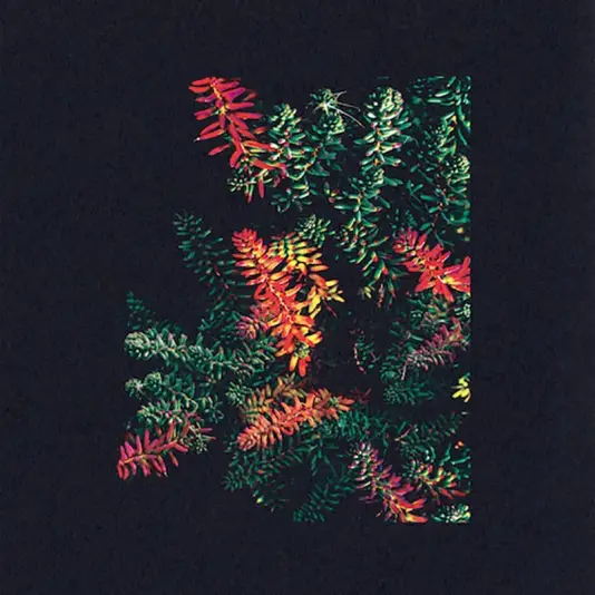 Dark Sky - Othona LP