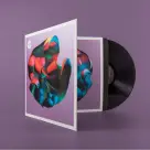 Lippok ‎Robert - Applied Autonomy LP