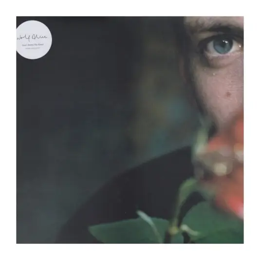 Wolf Alice - Don't Delete The Kisses 12"