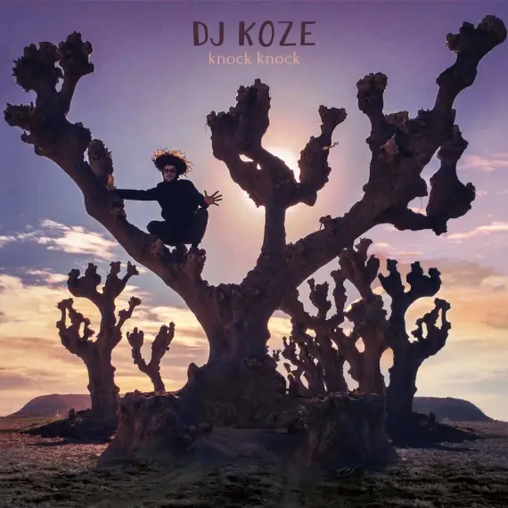 DJ Koze - Knock Knock 2LP (+7")