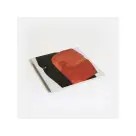 Rival Consoles - Persona 2LP