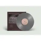 Deerhunter - Why Hasn't Everything Already Disappeared? LP (grey vinyl)