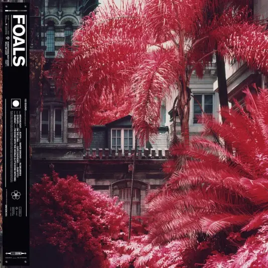 Foals - Everything Not Saved Will Be Lost : Part 1 (LP)