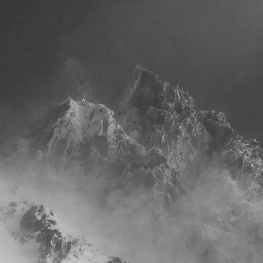 Wildhagen Fay - Snow LP