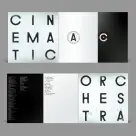 Cinematic Orchestra, The - To Believe 2LP