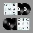 Cinematic Orchestra, The - To Believe 2LP