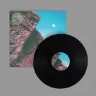 Bonobo - Linked 12"