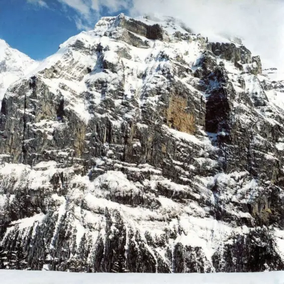 Moloko - I Am Not A Doctor 2LP (white vinyl) limited edition