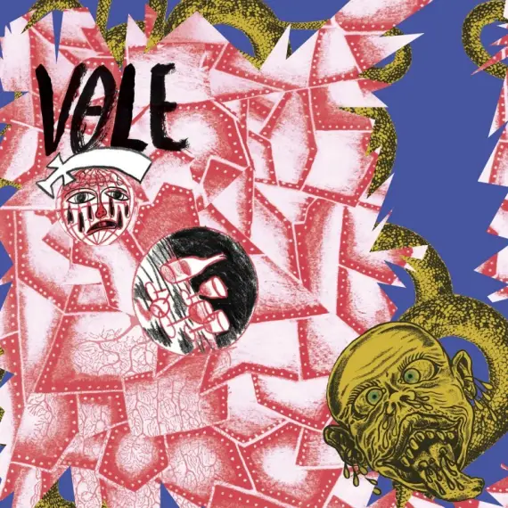 Vole - N​.​V​.​N​.​D​.​T​.​K​.​M​.​V​.​M​.​S. (LP)