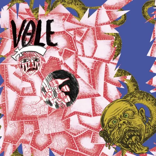 Vole - N​.​V​.​N​.​D​.​T​.​K​.​M​.​V​.​M​.​S. (LP)